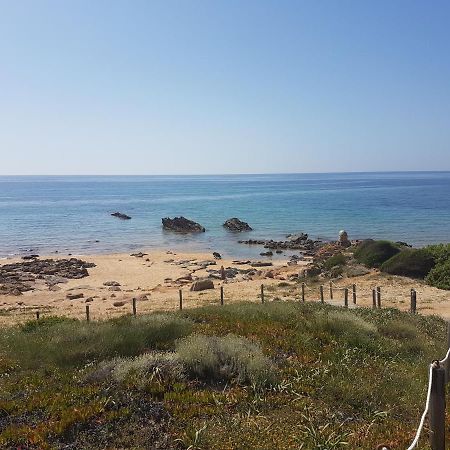 Terrazze Al Mare Apartment Torre dei Corsari Bagian luar foto