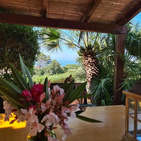 Terrazze Al Mare Apartment Torre dei Corsari Bagian luar foto